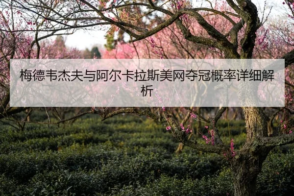 梅德韦杰夫与阿尔卡拉斯美网夺冠概率详细解析