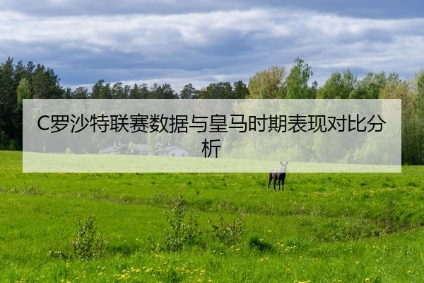 luo-sha-te-lian-sai-shu-ju-yu-huang-ma-shi-qi-biao-xian-dui-bi-fen-xi-2-538.jpg